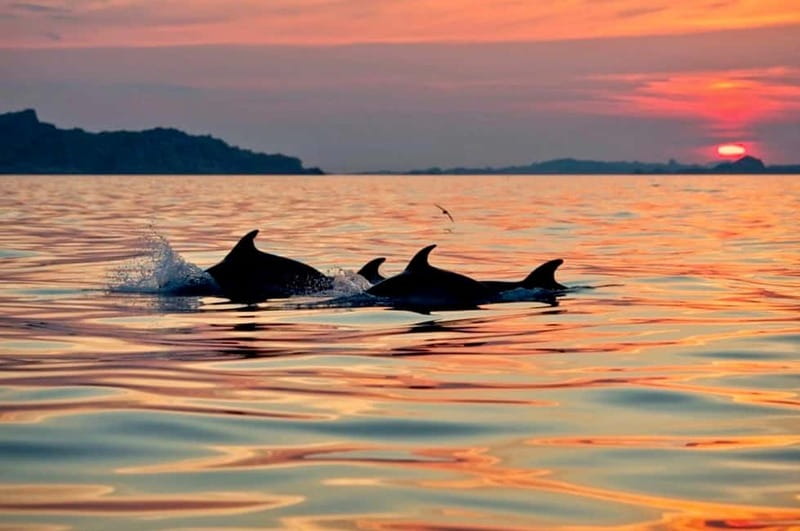 Sardinia: Sunset Kayak Tour + Snorkeling and Local Aperitif - Starting at Cala Suaraccia