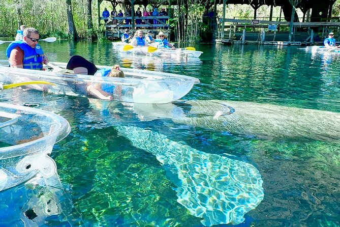 Sassy’s Silver Springs Kayak and Paddleboard Tours - A two-hour river trip with one main purpose