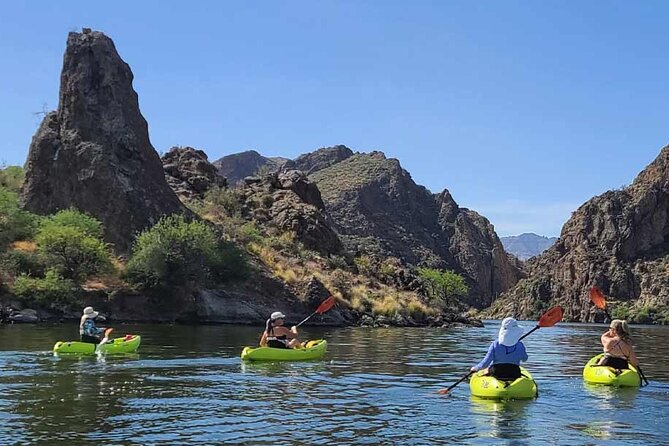 Scenic Guided Kayaking Tour on Saguaro Lake - Key points at a glance