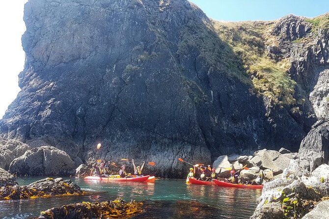 Sea Cave Kayaking Experience - What is included, and why it adds value