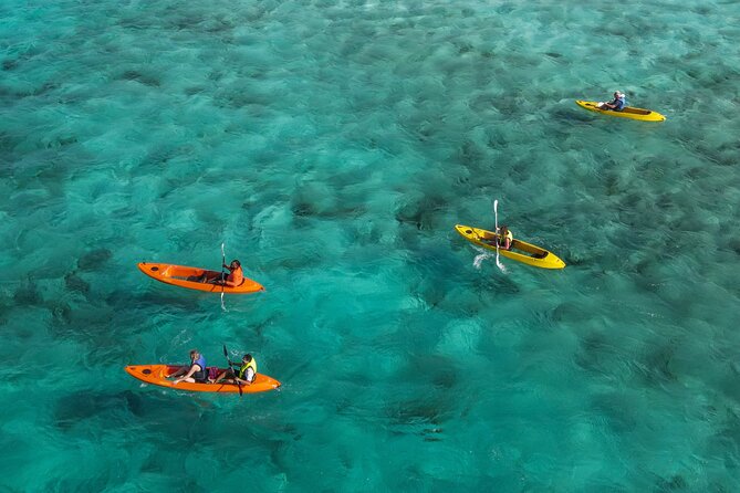 Sea Glass Island and Clear Kayak Adventure - Key points to know before you book