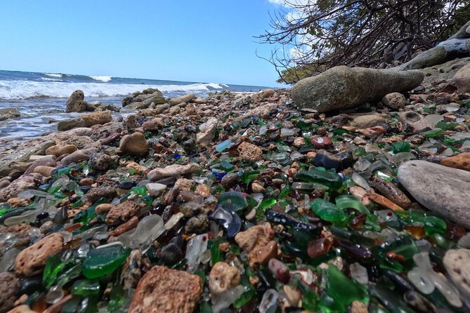 Sea Glass Island and Clear Kayak Adventure - Guides make the biggest difference