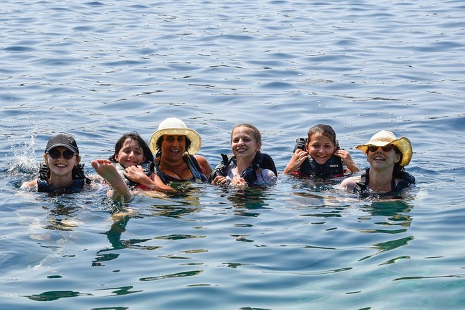 Sea Kayak in Kardamili - Foneas Beach and a Greek picnic