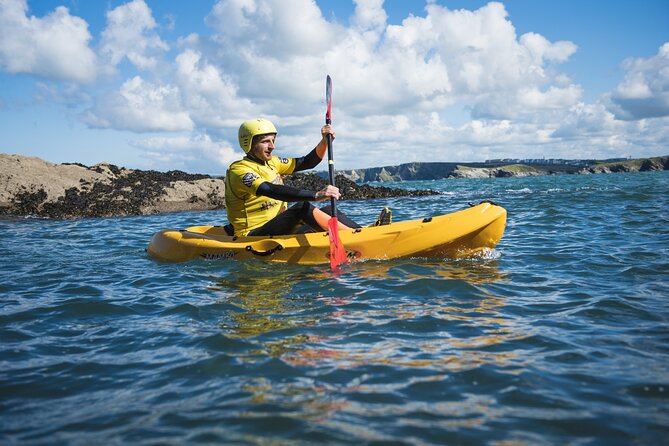 Sea Kayak Lesson & Tour in Newquay - Wildlife at water level