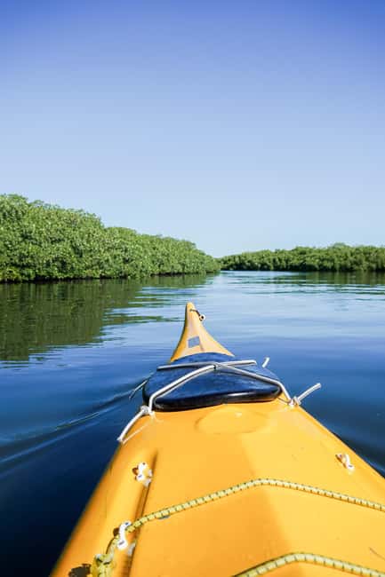 Sea Kayak Tour - Mangrove Safari - Crossing La Paz Bay by kayak
