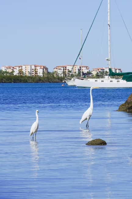 Sea Kayak Tour - Mangrove Safari - The paddle back to Playa La Posada