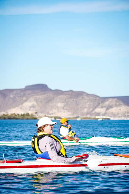 Sea Kayak Tour - Mangrove Safari - What the $80 price really gets you
