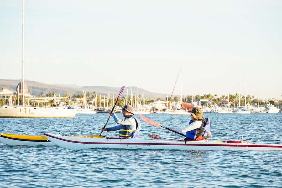 Sea Kayak Tour - Mangrove Safari - Small details that make the outing better