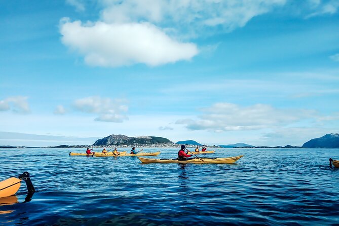 Sea Kayaking In Ålesund - Key points before you book
