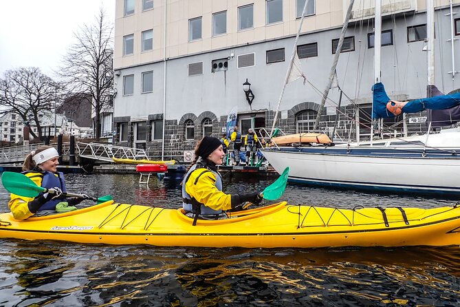 Sea Kayaking In Ålesund - What the guide adds
