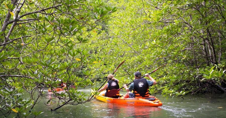 Sea Kayaking in Ao Thalane & Optional Full-Day Hong Island - Fitness, comfort, and the small practical details
