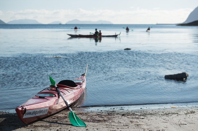 Seakayak And Hike in Ålesund - What the guide adds for beginners