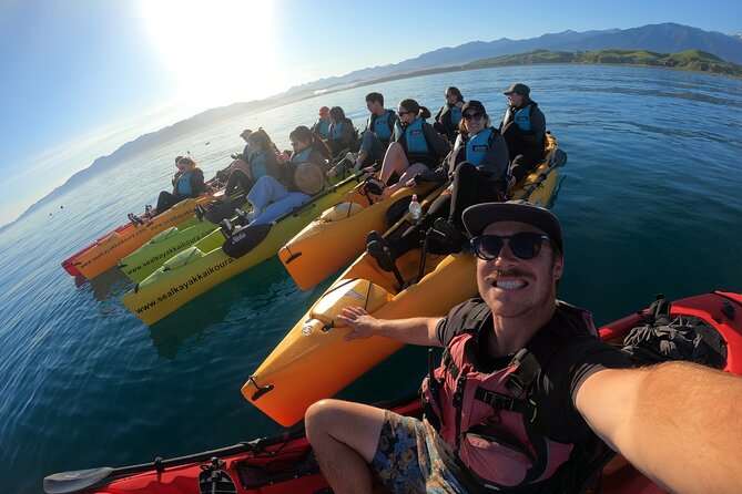 Seal Kayaking Adventure in Kaikoura - Choosing the seal tour or sunset departure