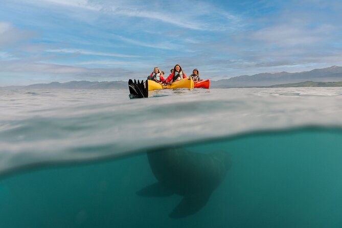 Seal Kayaking Adventure in Kaikoura - How much value do you get for $83.78?