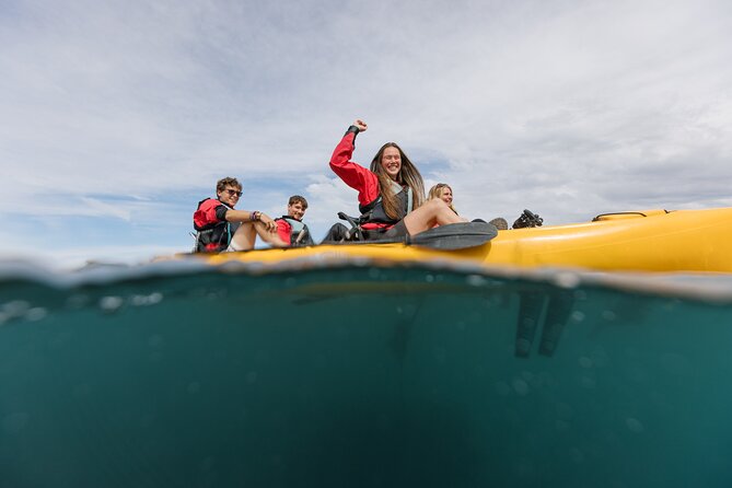Seal Kayaking Adventure in Kaikoura - Weather, cancellations, and what to bring