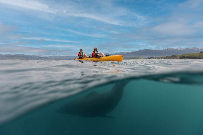 Seal Kayaking Adventure in Kaikoura - Out on the Kaikoura peninsula