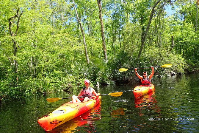Self Guided Family Friendly Kayak Rental Experience Old Florida - Key points to know before you paddle