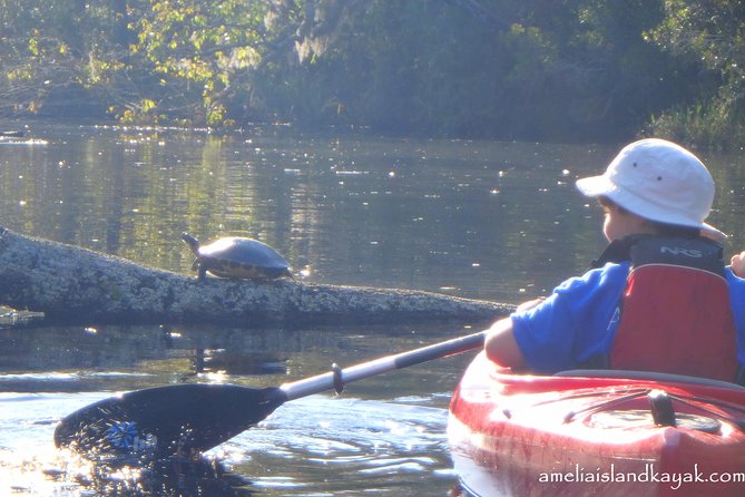 Self Guided Family Friendly Kayak Rental Experience Old Florida - What happens when you arrive at 463540 FL-200