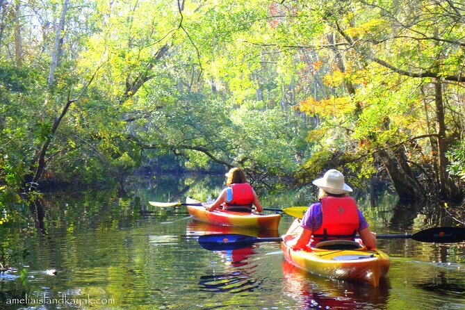 Self Guided Family Friendly Kayak Rental Experience Old Florida - Under the cypress trees and aquatic plants