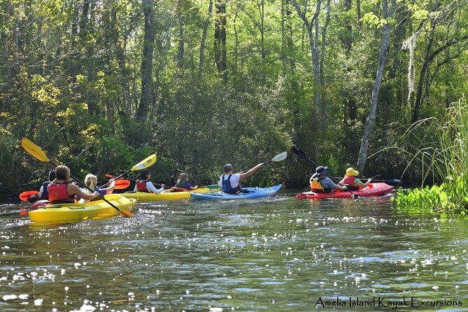 Self Guided Family Friendly Kayak Rental Experience Old Florida - Weather, timing, and the small practical details