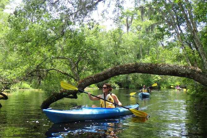 Self Guided Family Friendly Kayak Rental Experience Old Florida - The first stretch: getting comfortable in the kayak