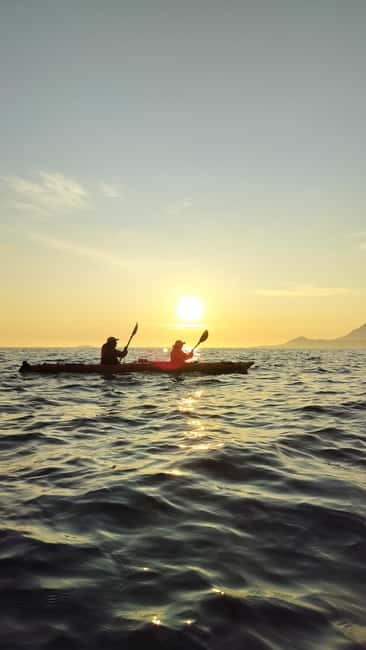 Senja: Guided Small Group Evening Kayaking Tour - Paddling toward Ånderdalen National Park