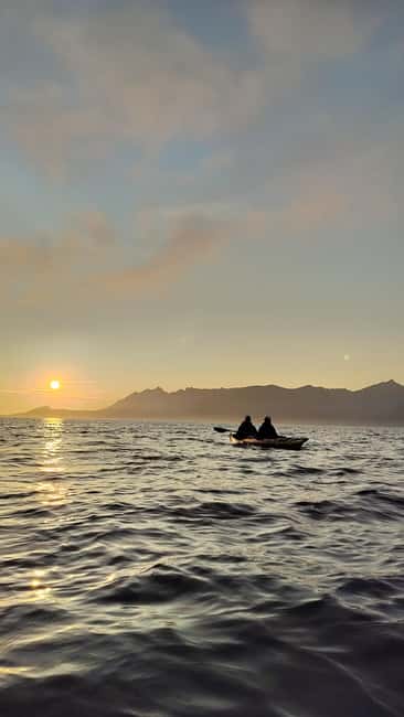 Senja: Guided Small Group Evening Kayaking Tour - Who will get the most from this tour