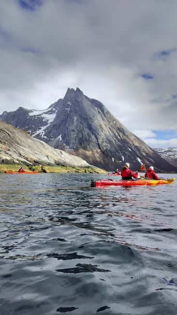 Senja: Guidet Fjord Kayaking in Ånderdalen Nationalpark - Key points to know before you book