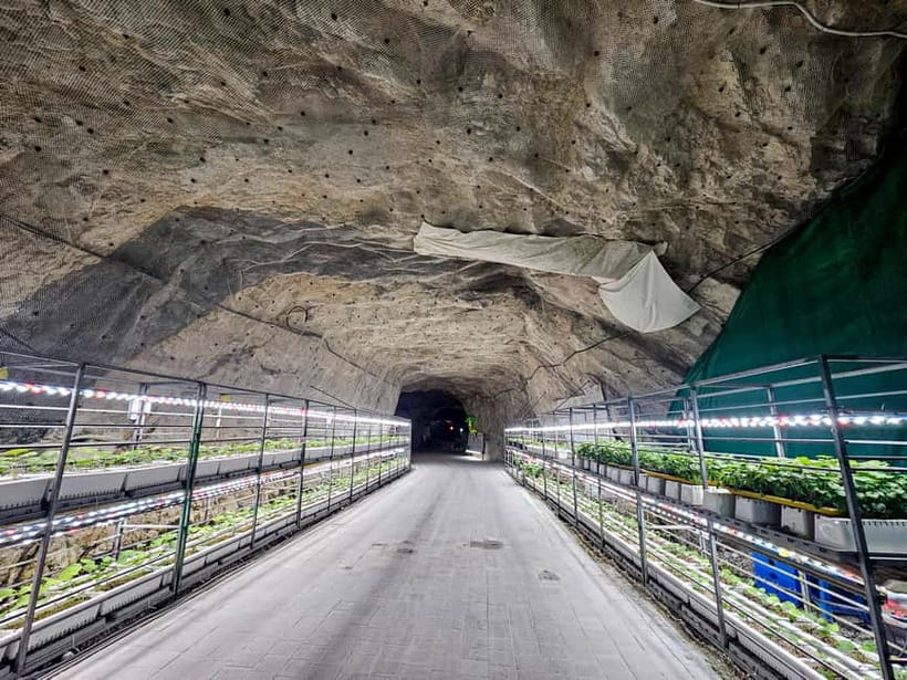 Seoul: Chungju Cruise, Cable Car & Cave Kayak Adventure Tour - Should you book the Chungju adventure?