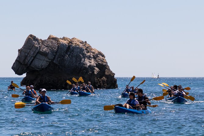 Sesimbra : Guided Kayak Tour in Arrábida Natural Park & Caves - Why this Sesimbra kayak tour is worth considering