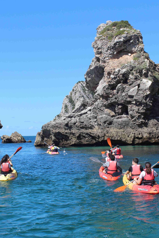 Sesimbra: Ribeiro Cavalo Beach, Caves, & Arrábida Kayak Tour - Who should book this Sesimbra experience?