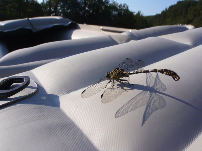 Severin na Kupi: Canoeing and Kayaking on the Kupa River - Who will enjoy the Kupa River most?
