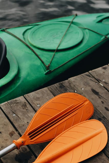 Seville: 1.5 hour Kayak Excursion - Key points before you book