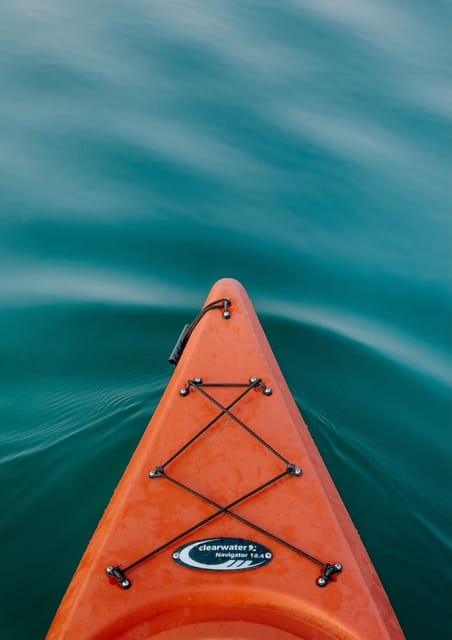Seville: 1.5 hour Kayak Excursion - Why Seville looks better from the Guadalquivir