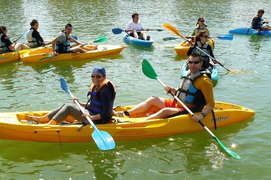 Seville: 2–Hour Guadalquivir River Kayaking Tour - Isla de La Cartuja and the Expo 92 riverfront