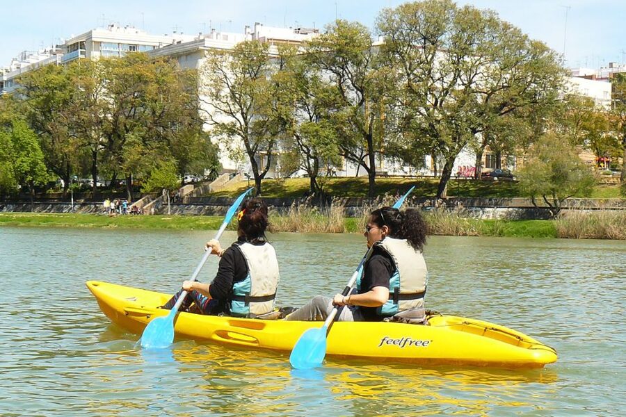 Seville: 2–Hour Guadalquivir River Kayaking Tour - Is $46 a fair price?