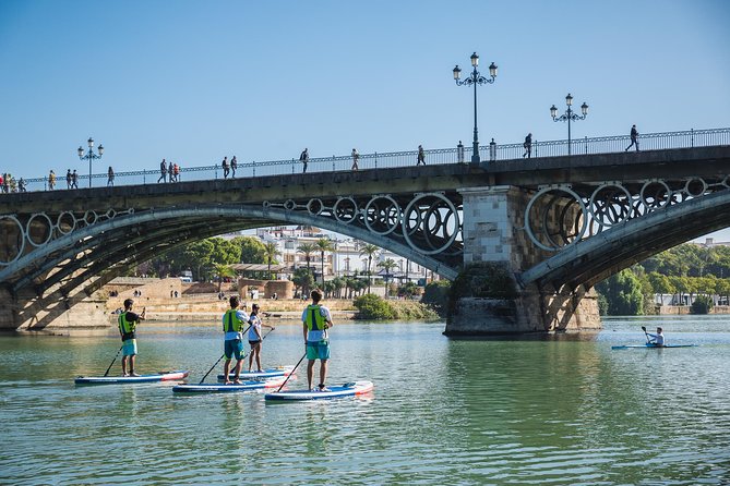 Seville: Paddle Surf Route and Class - Turtles, river calm, and the small surprises