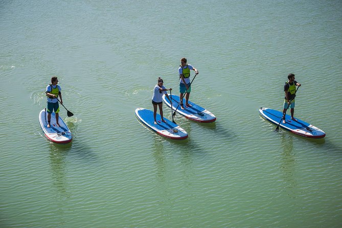 Seville: Paddle Surf Route and Class - Who will enjoy Paddle Surf Sevilla most
