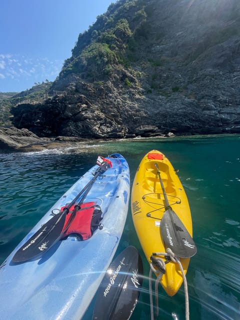 SHARK CAVE KAYAK TOUR - What the guide adds to the experience