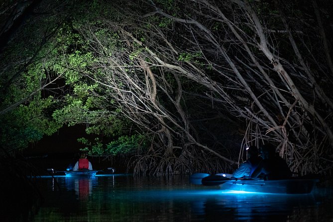 Shell Key Clear Kayak Sunset & Glow Tours - The guides make a real difference