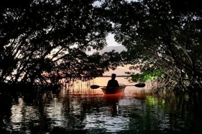 Shell Key Clear Kayak Sunset & Glow Tours