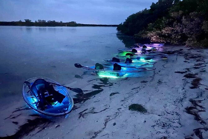 Shell Key Clear Kayak Sunset & Glow Tours - How wet and buggy should you expect to get?