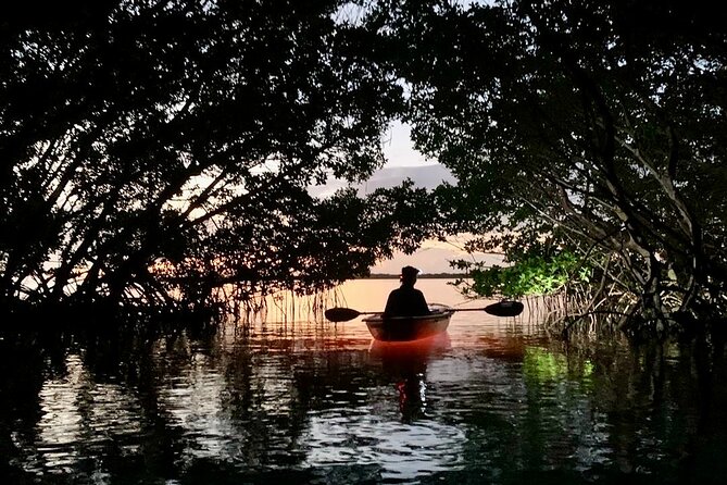 Shell Key Clear Kayak Sunset & Glow Tours - Sunset first, glow tour after dark