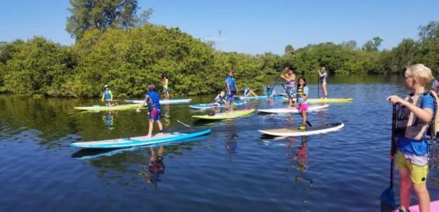 Siesta Key: Mangrove Kayak or Paddleboard Tour - From the canal to the open bay