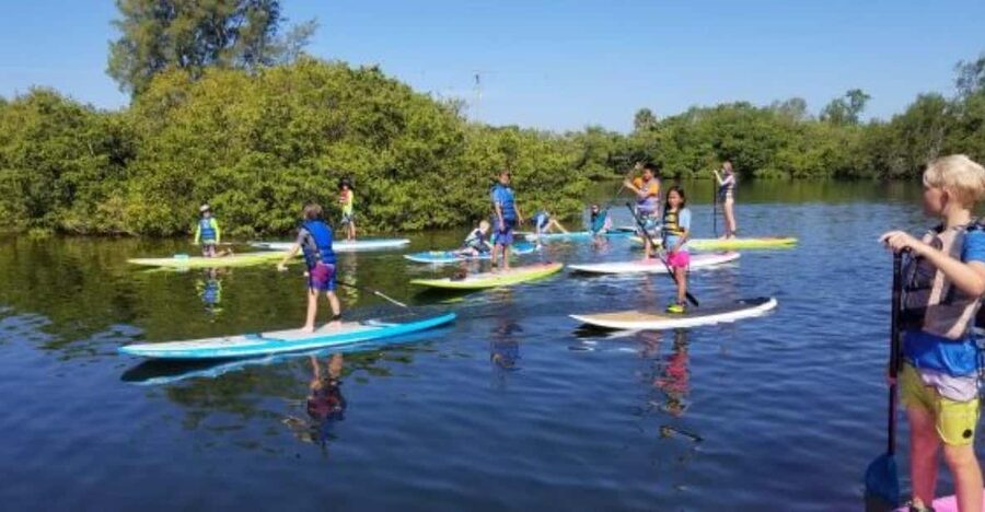 Siesta Key: Mangrove Kayak or Paddleboard Tour - Wildlife sightings, from manatees to seahorses