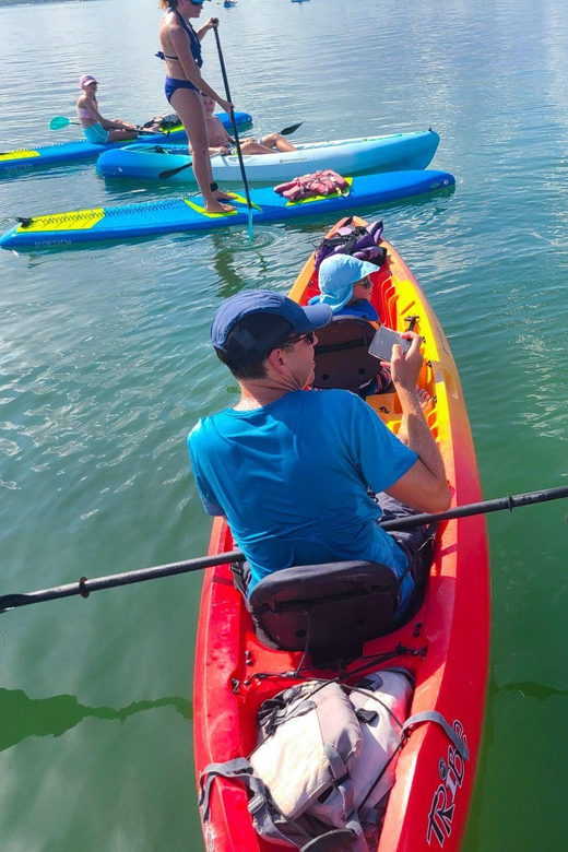 Siesta Key: Mangrove Kayak or Paddleboard Tour - The secret beach stop