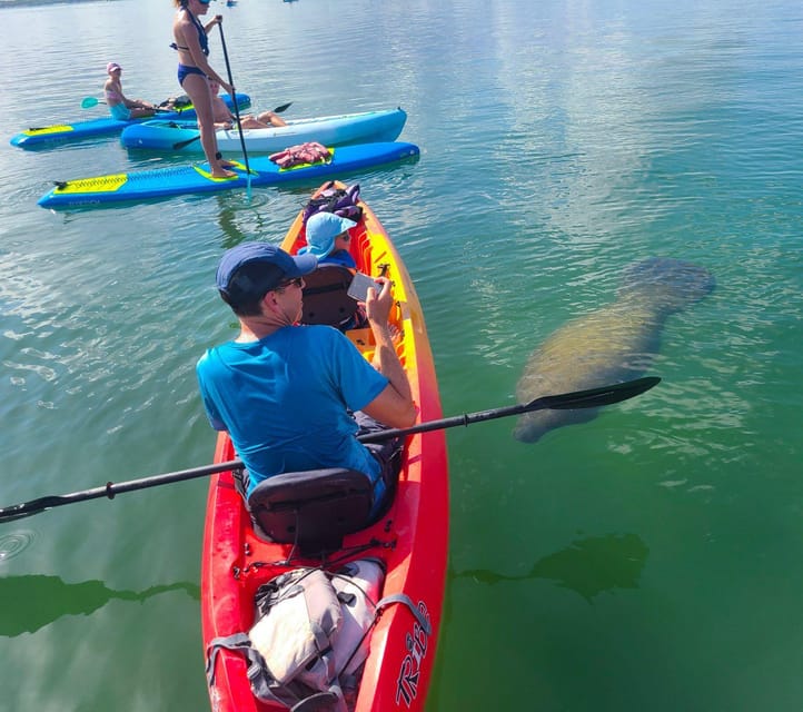 Siesta Key: Mangrove Kayak or Paddleboard Tour - Kayak or paddleboard?