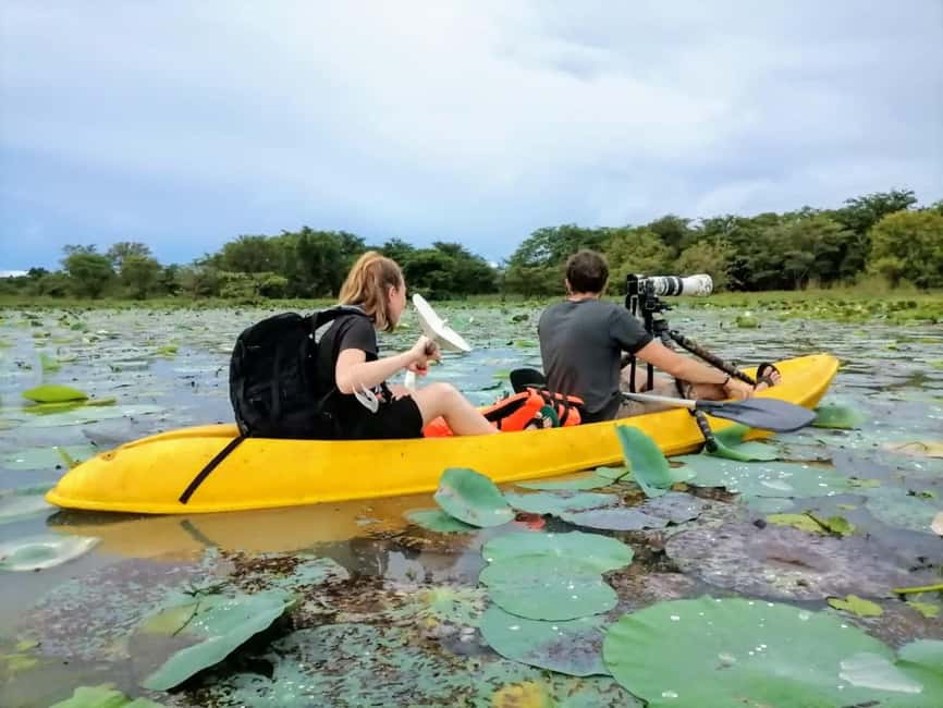 Sigiriya: Sunrise or Sunset Kayaking Tour - Sigiriya Rock and Pidurangala from the lake