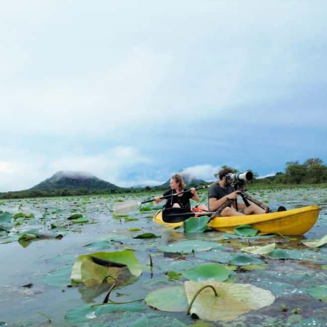 Sigiriya: Sunrise or Sunset Kayaking Tour - Meeting at Thalkote Lake, 10 to 15 minutes from Sigiriya