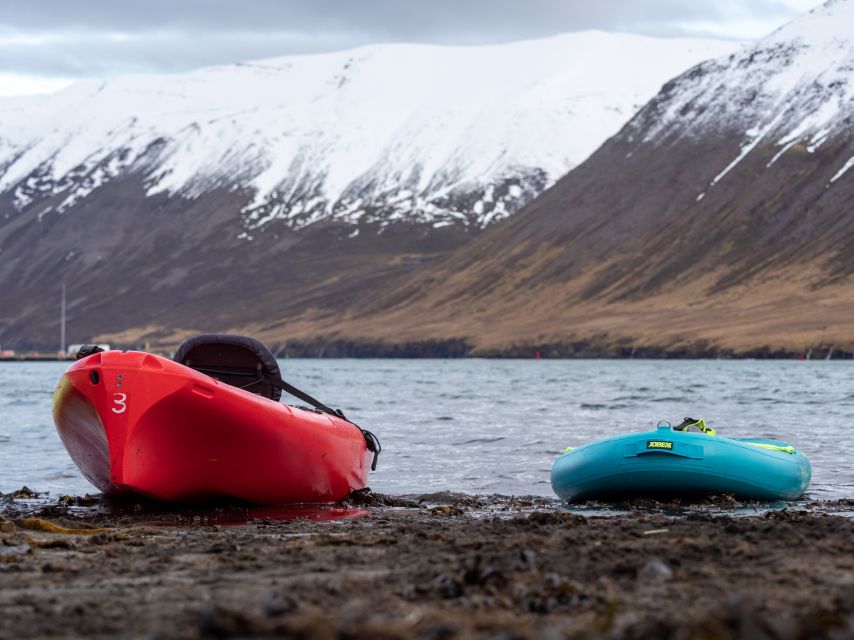 Siglufjörður / Siglufjordur: Guided kayak tour. - Key points before you book